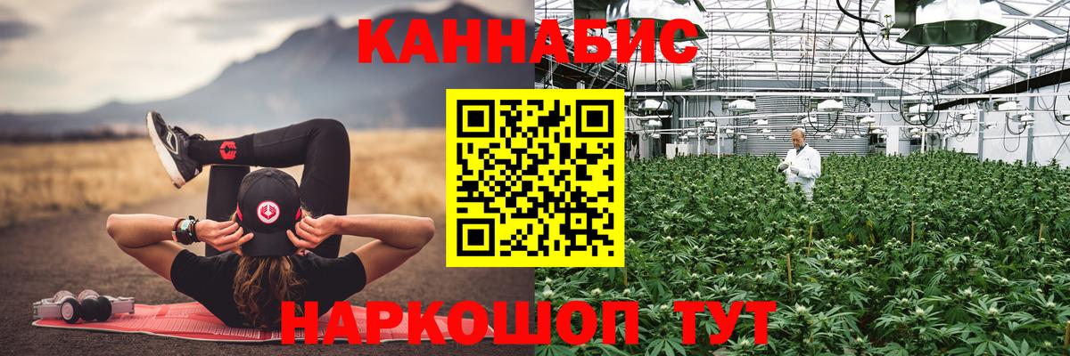 Канабис MAZAR Муравленко
